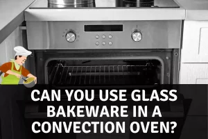 Can You Use Glass Bakeware In a Convection Oven