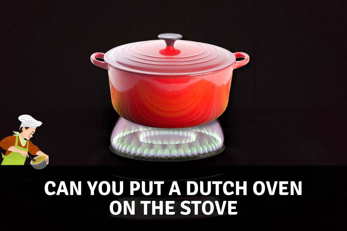 Can You Put A Roasting Pan On The Stove?