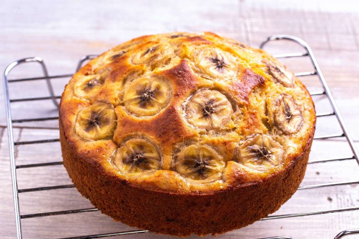 Can You Bake A Cake In A Toaster Oven?