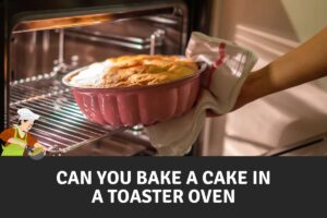 Can You Bake a Cake in A Toaster Oven