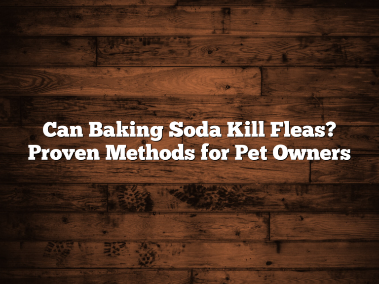 Can Baking Soda Kill Fleas? Proven Methods For Pet Owners