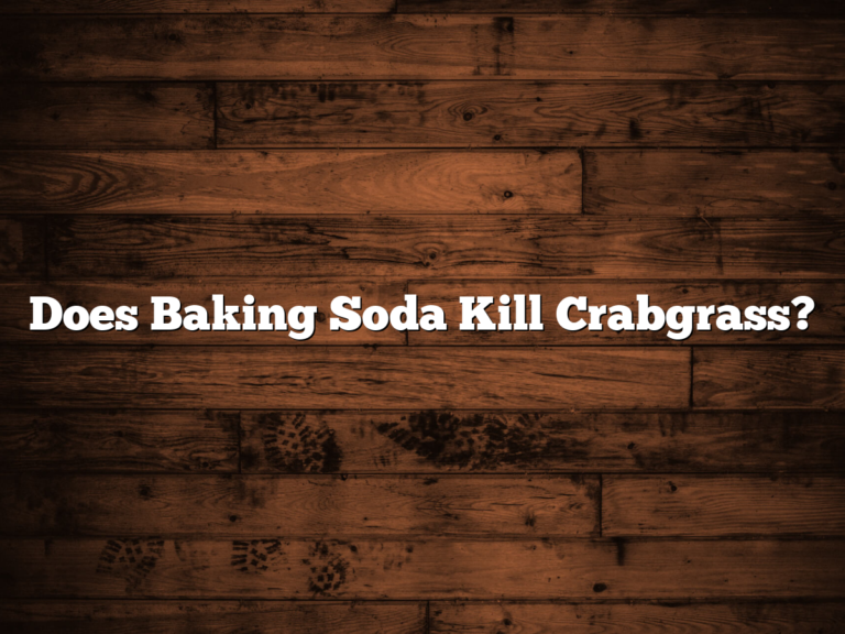 Does Baking Soda Kill Crabgrass?