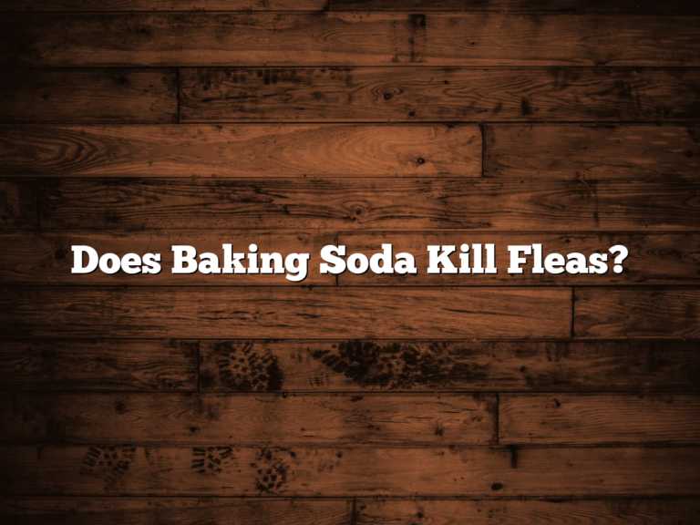 Does Baking Soda Kill Fleas?