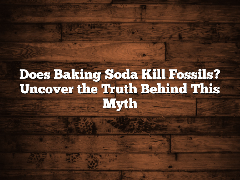 Does Baking Soda Kill Fossils? Uncover The Truth Behind This Myth