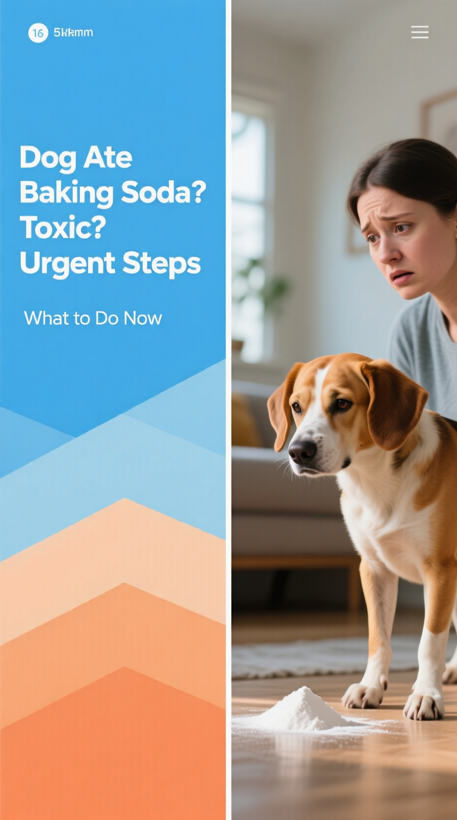 A Dog Looking At Spilled Baking Soda, Highlighting The Question Can Baking Soda Hurt Dogs