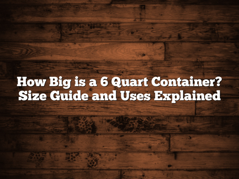 How Big Is A 6 Quart Container? Size Guide And Uses Explained