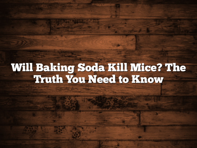 Will Baking Soda Kill Mice? The Truth You Need To Know