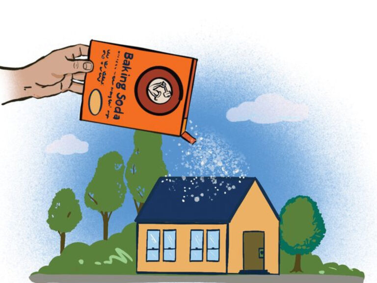 Baking Soda Kills Moss On Roofs: Your Simple Diy Guide