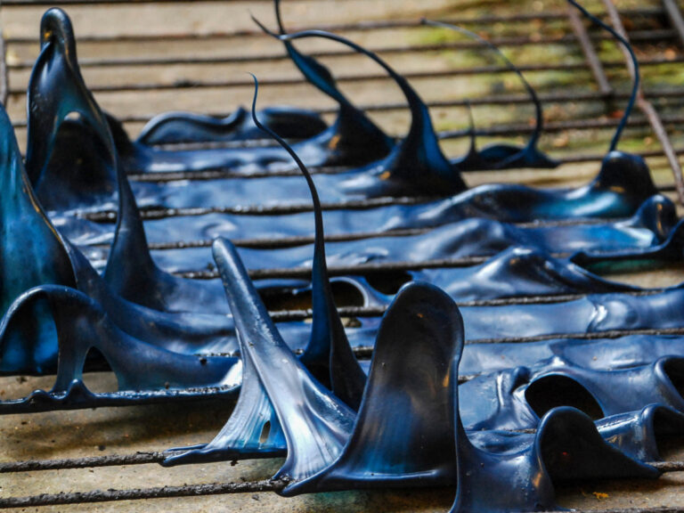 Can Baking Soda Melt Plastic: Debunking The Myth, Cleaning Mold Safely