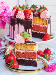 Neapolitan Birthday Cake